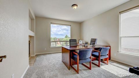 MLS Image #17 for 4864  harness court,parker, Colorado