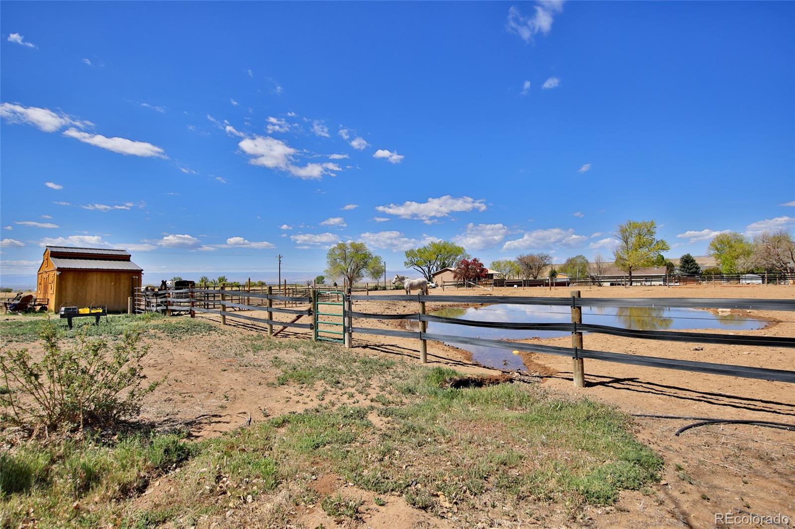 MLS Image #22 for 13011  alboe lane,eckert, Colorado