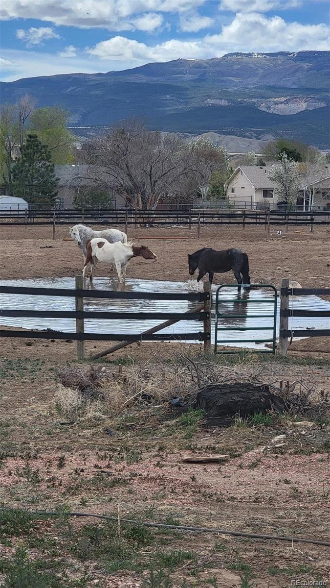 MLS Image #24 for 13011  alboe lane,eckert, Colorado