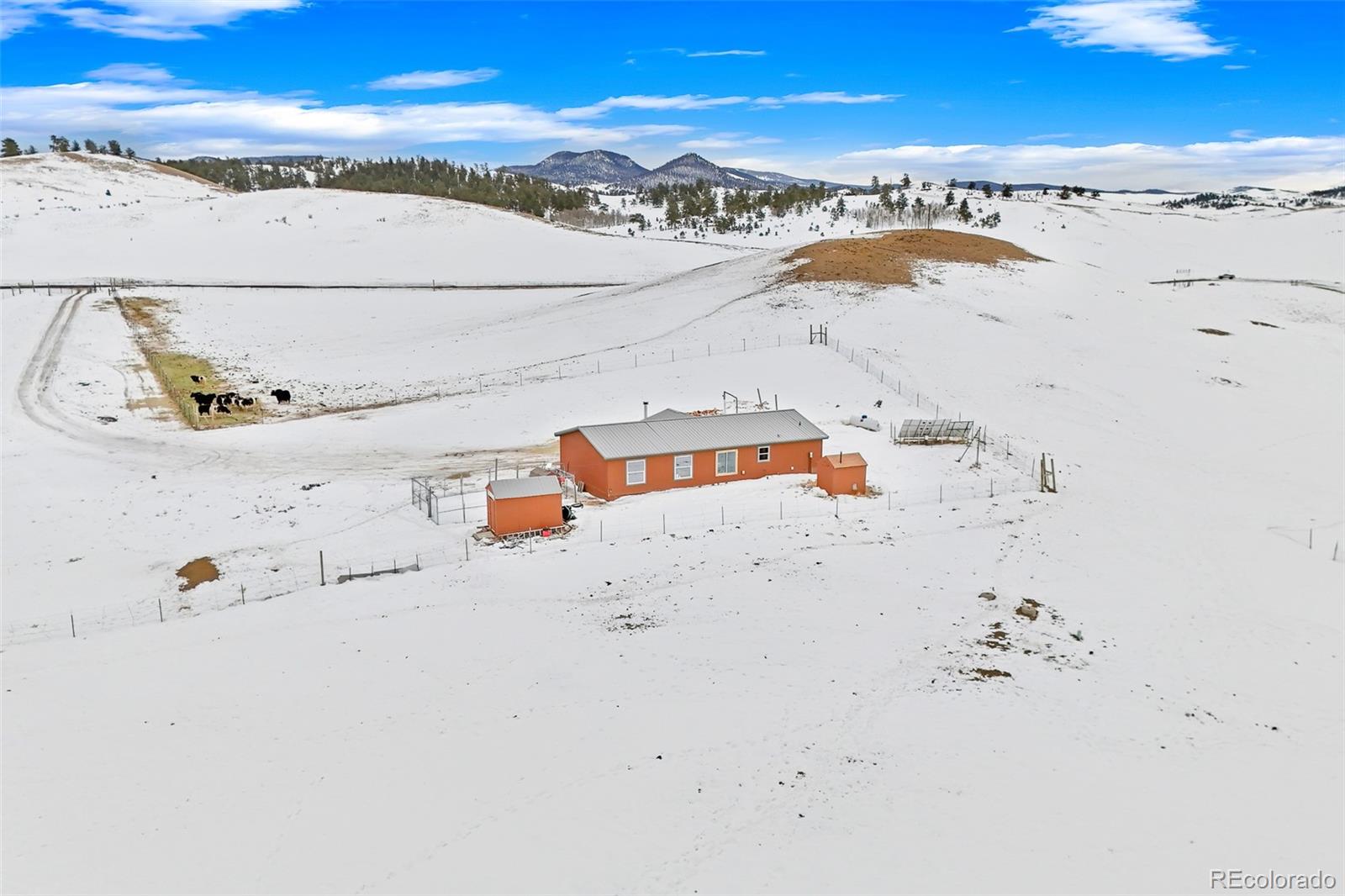 MLS Image #5 for 633  ahlers lane,hartsel, Colorado