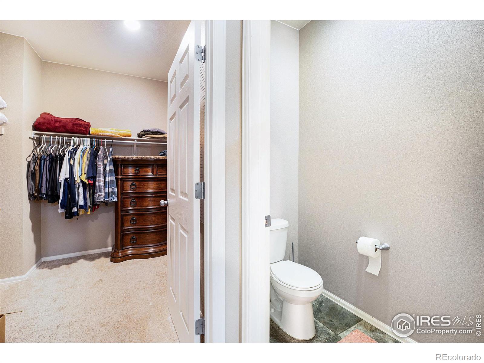 MLS Image #11 for 1671  highfield drive,windsor, Colorado