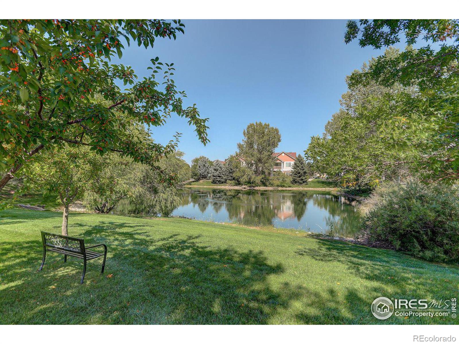 MLS Image #18 for 4725  hahns peak drive,loveland, Colorado