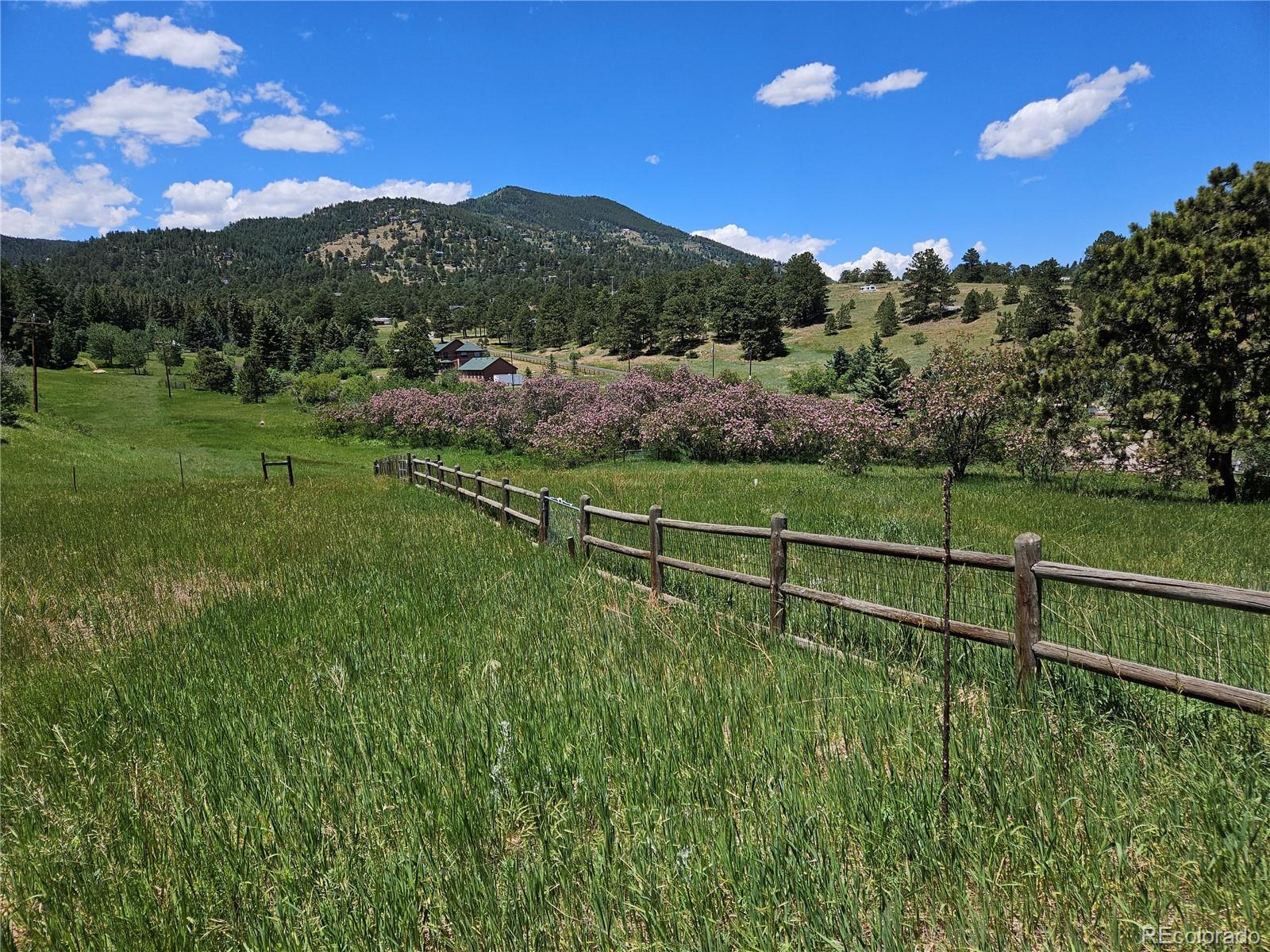 MLS Image #27 for 87  elmgreen lane,evergreen, Colorado