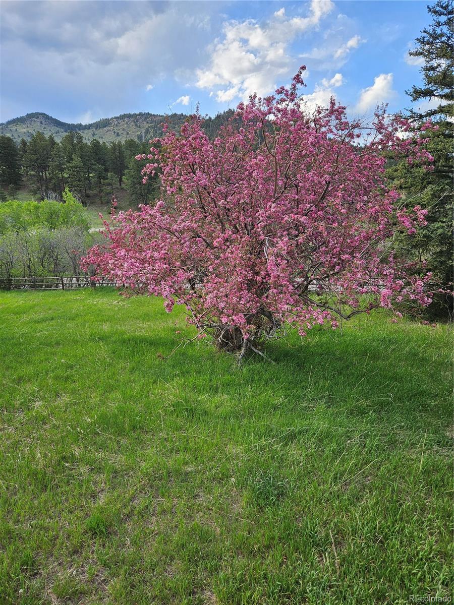 MLS Image #28 for 87  elmgreen lane,evergreen, Colorado