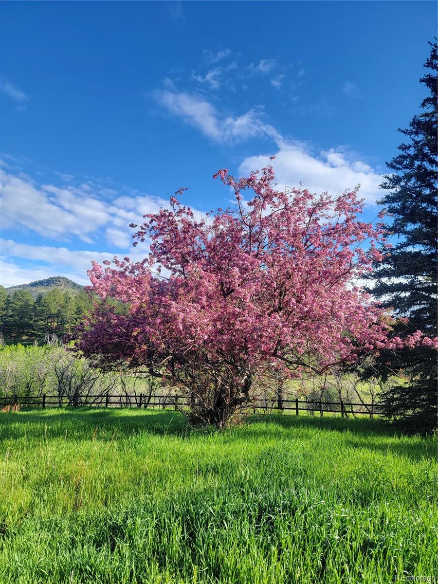 MLS Image #34 for 87  elmgreen lane,evergreen, Colorado