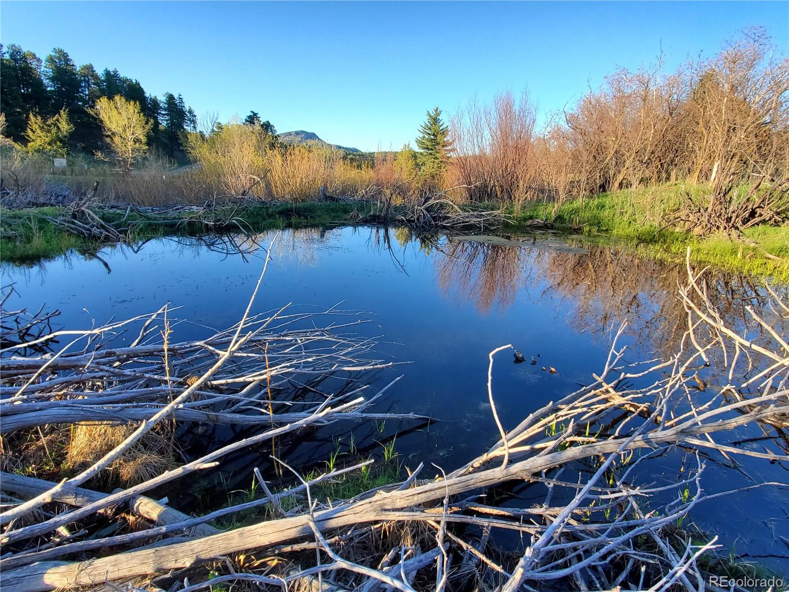 MLS Image #37 for 87  elmgreen lane,evergreen, Colorado