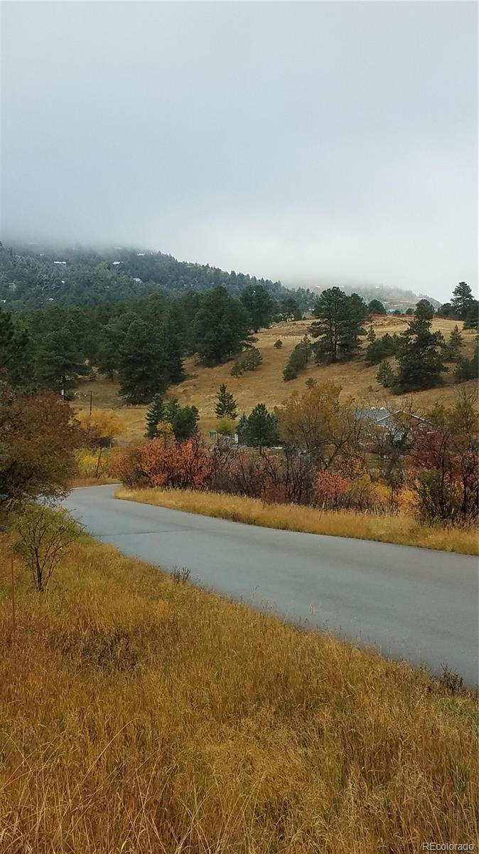 MLS Image #49 for 87  elmgreen lane,evergreen, Colorado