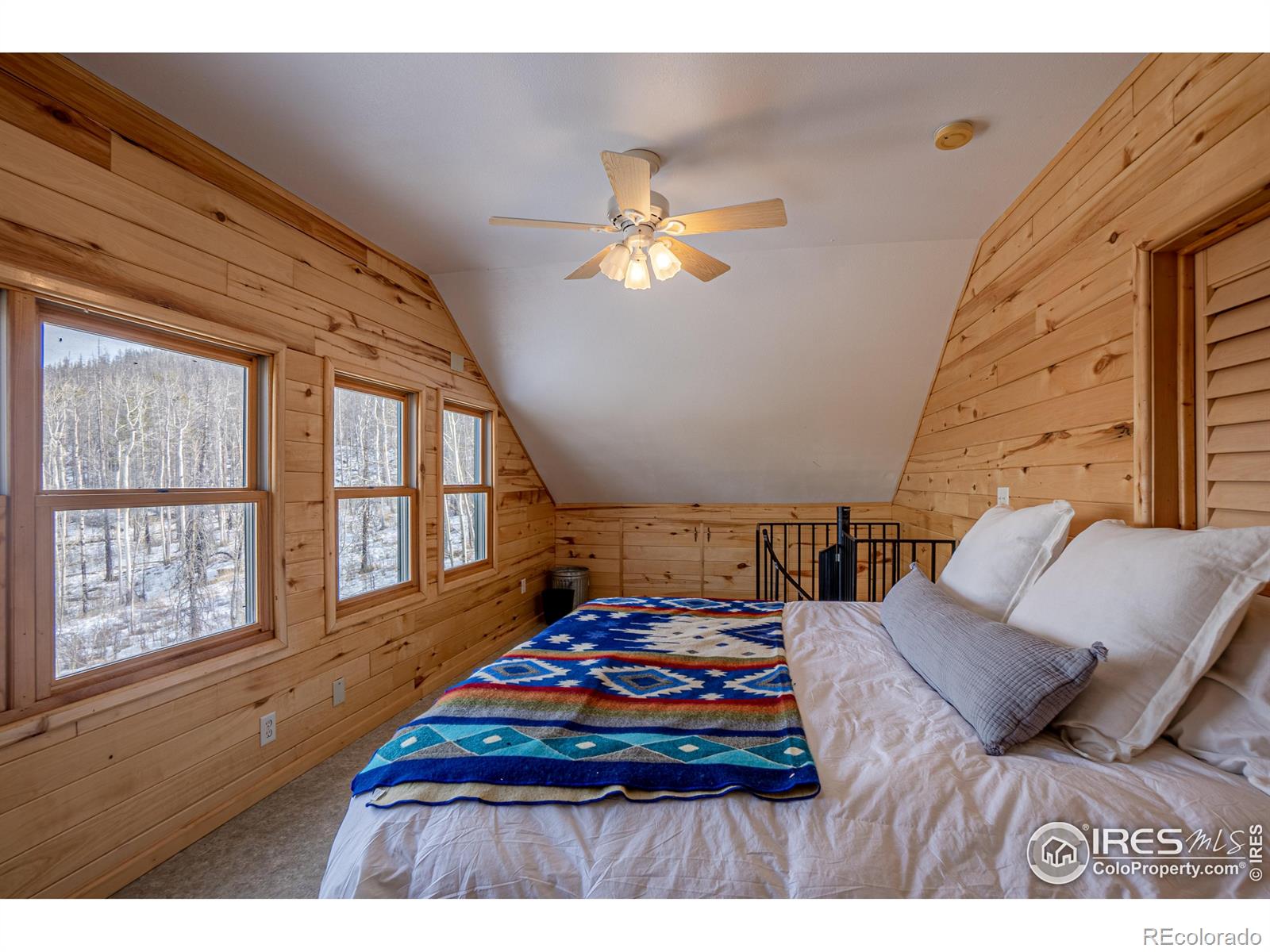 MLS Image #14 for 1055  granite road,bellvue, Colorado