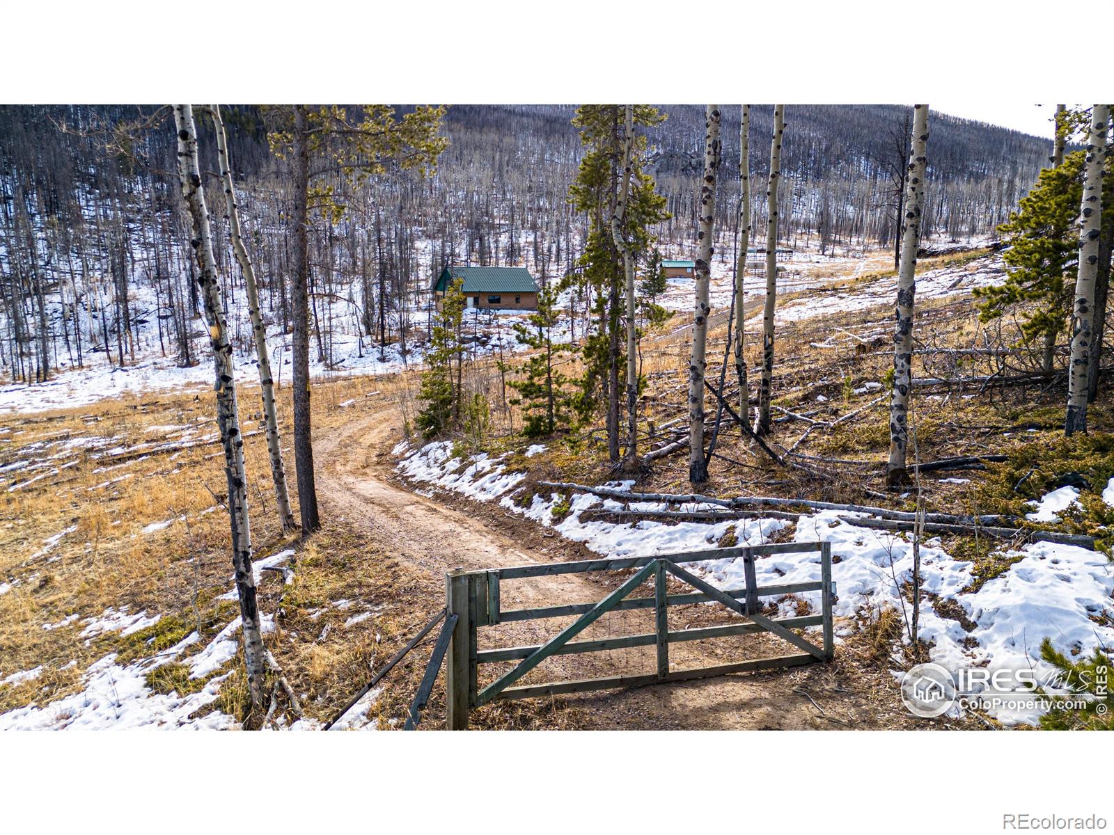 MLS Image #24 for 1055  granite road,bellvue, Colorado