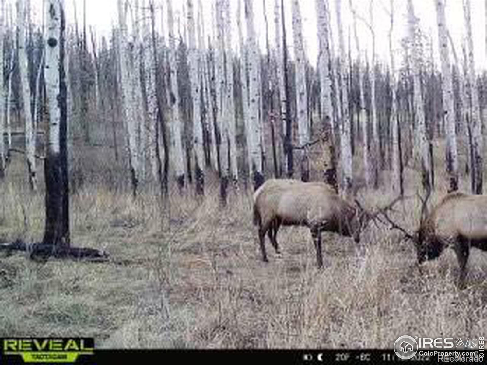 MLS Image #36 for 1055  granite road,bellvue, Colorado