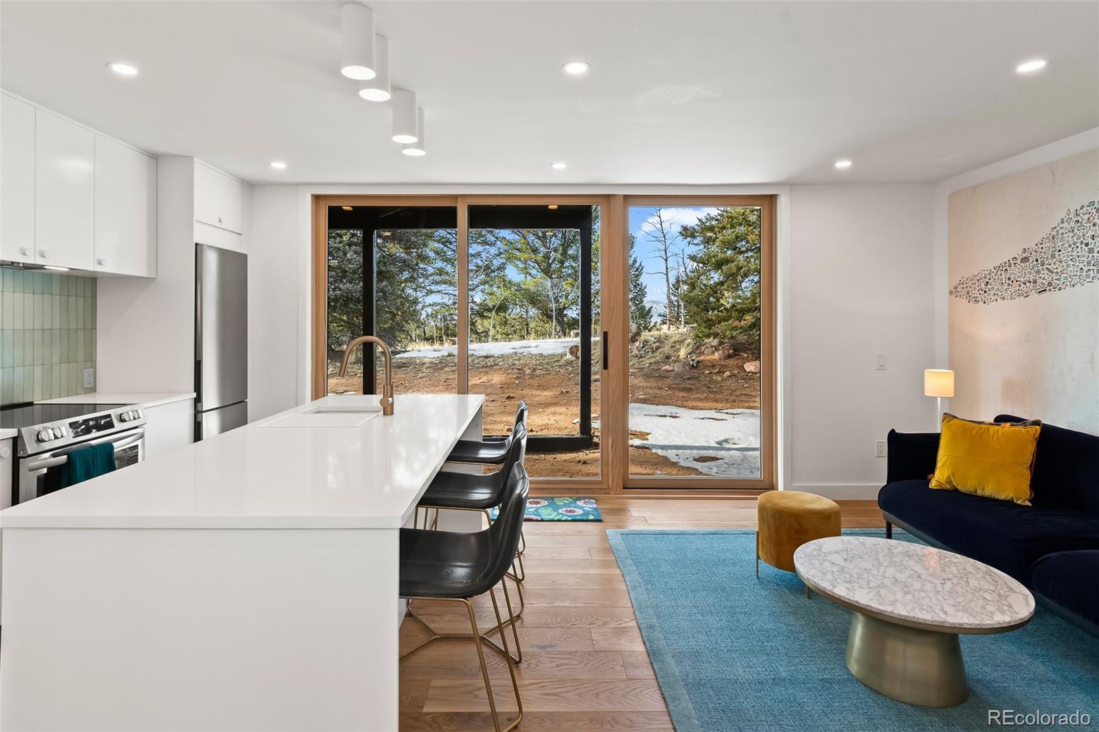 MLS Image #3 for 491  shoshone drive,como, Colorado