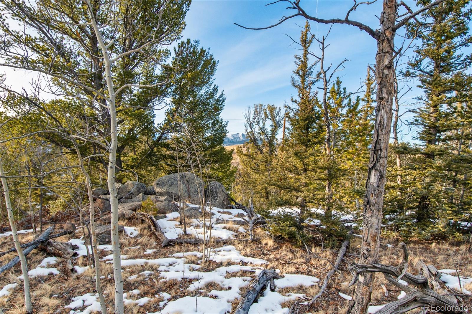 MLS Image #32 for 491  shoshone drive,como, Colorado