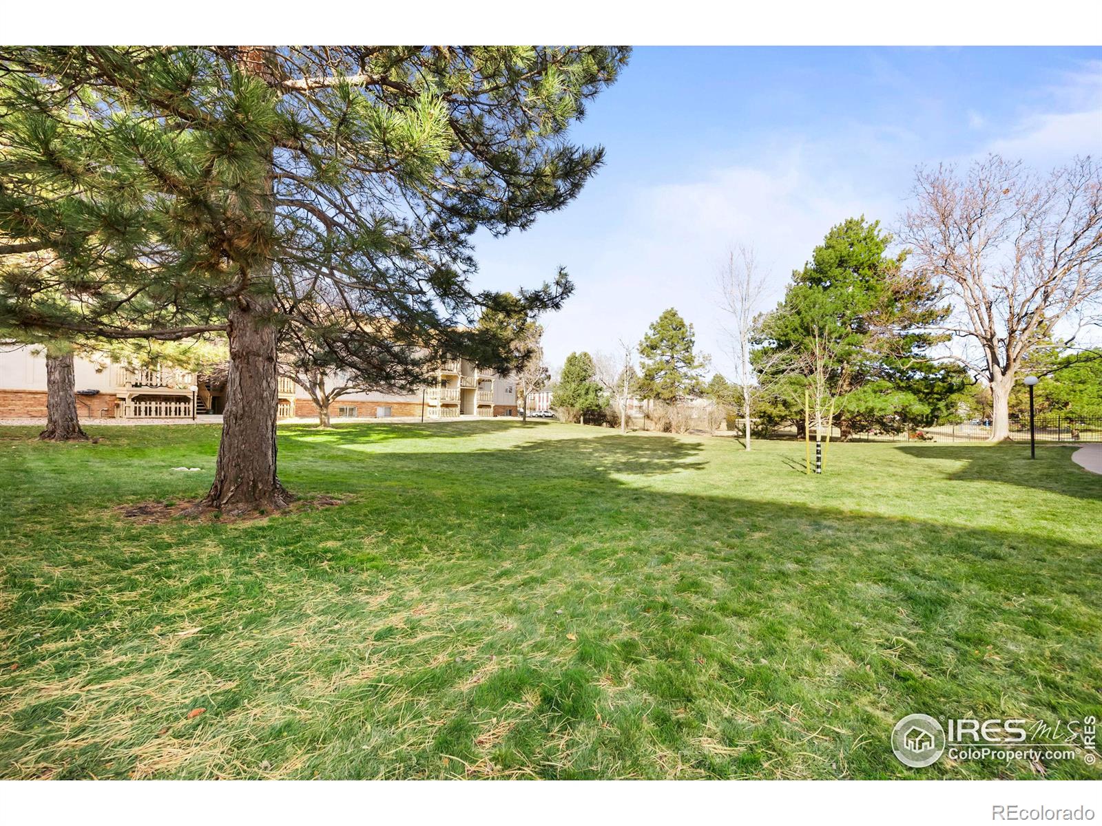 MLS Image #23 for 1024 e swallow road,fort collins, Colorado