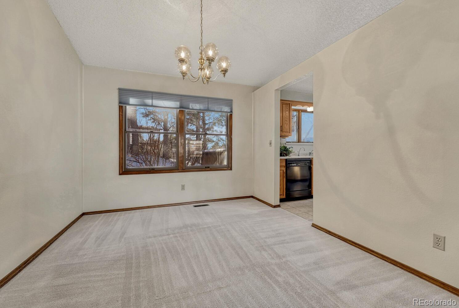 MLS Image #18 for 315  palm springs drive,colorado springs, Colorado