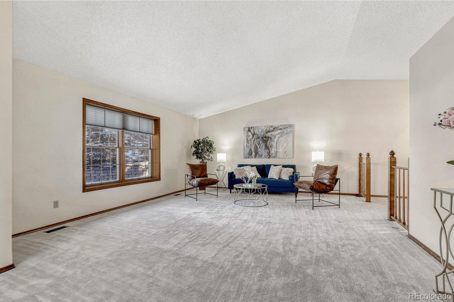 MLS Image #19 for 315  palm springs drive,colorado springs, Colorado