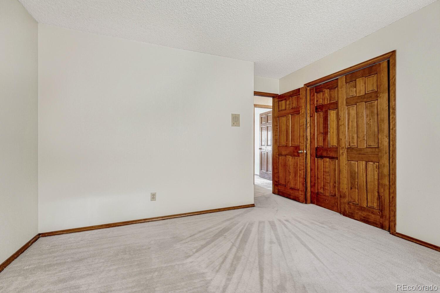 MLS Image #27 for 315  palm springs drive,colorado springs, Colorado