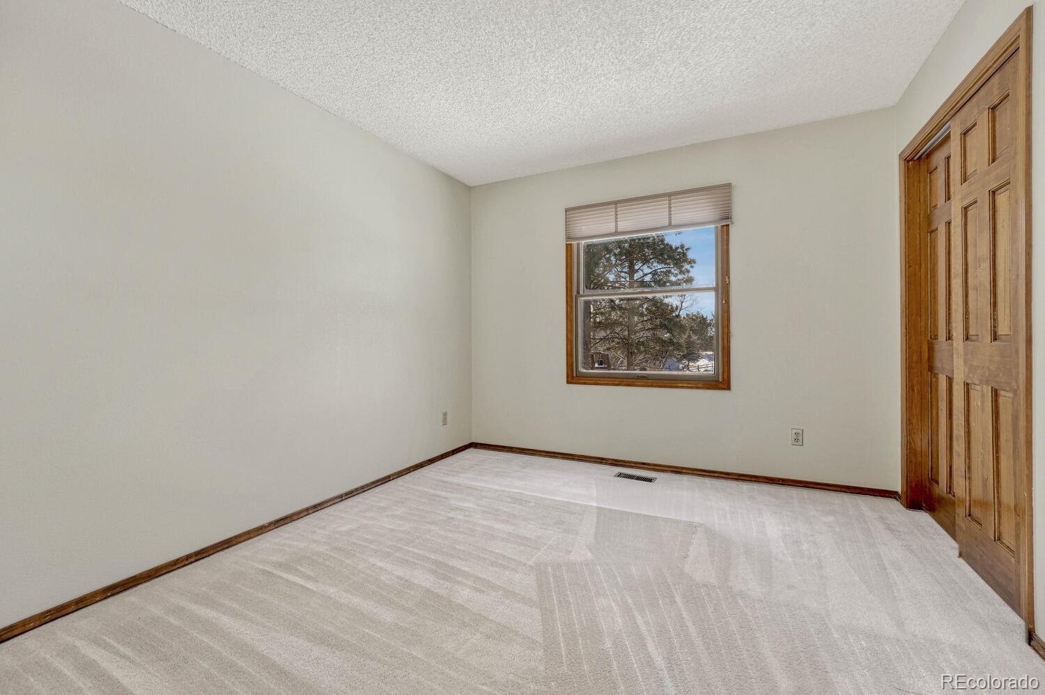 MLS Image #29 for 315  palm springs drive,colorado springs, Colorado