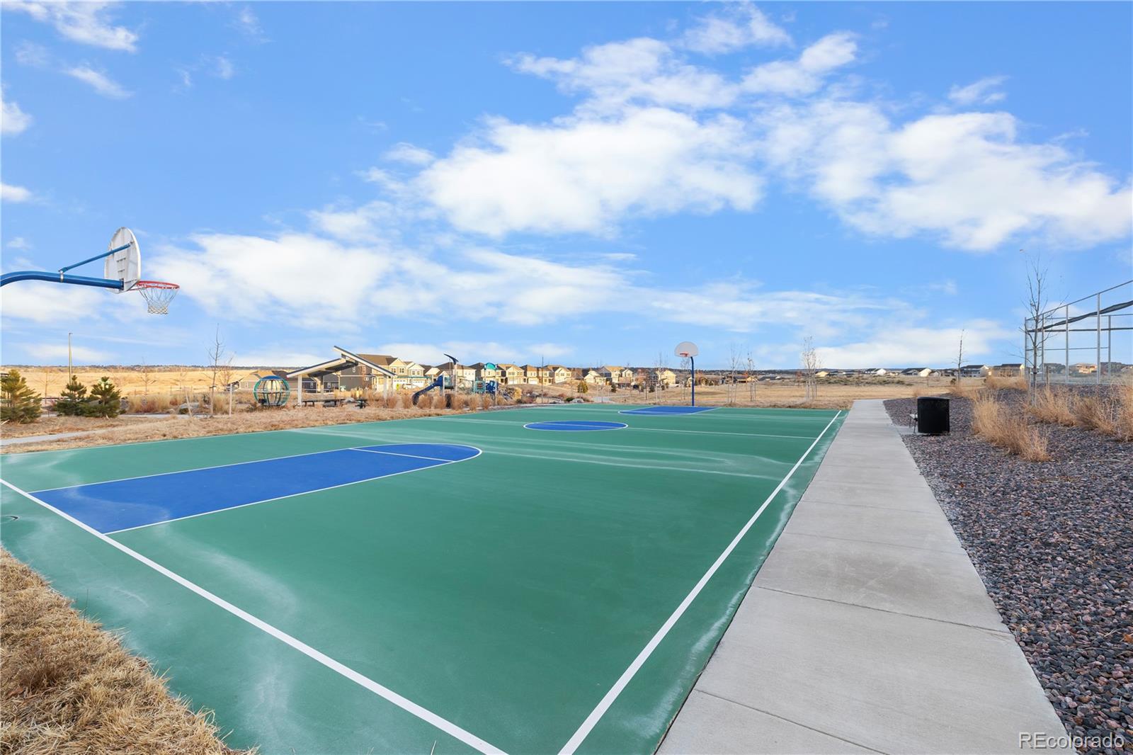 MLS Image #41 for 17969  sky pilot avenue,parker, Colorado