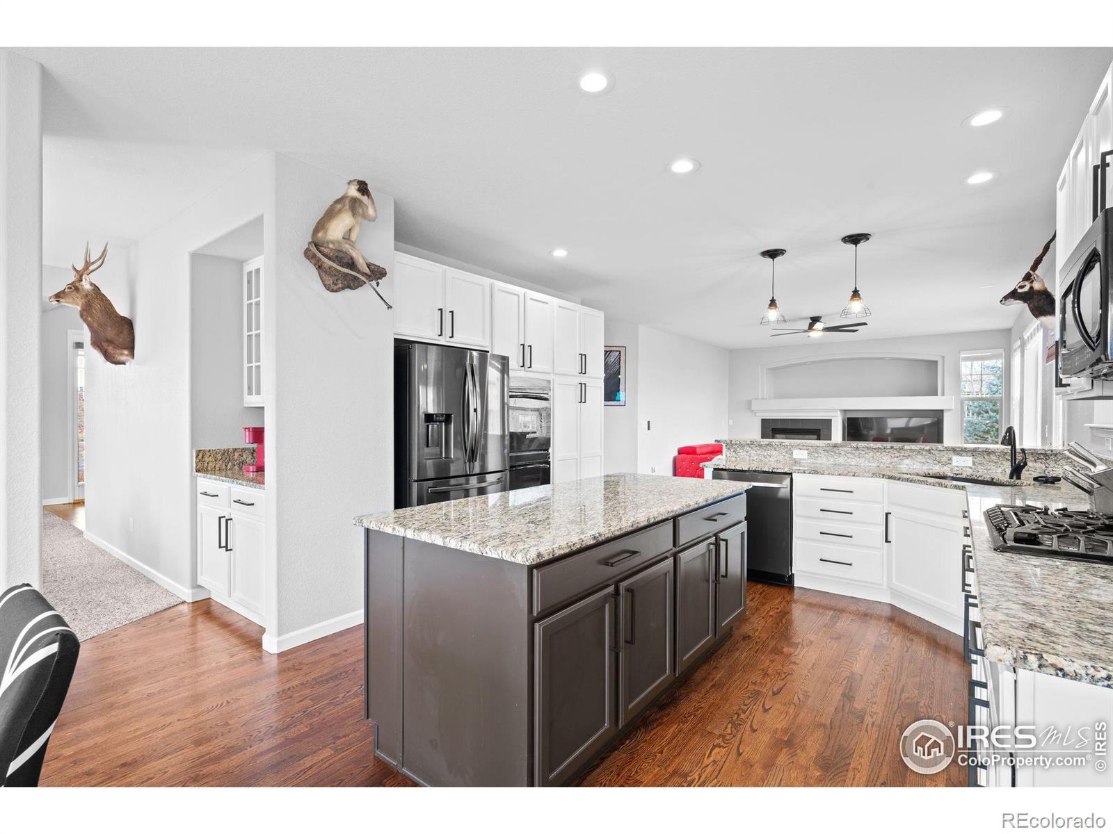 MLS Image #10 for 7690 s blackstone parkway,aurora, Colorado