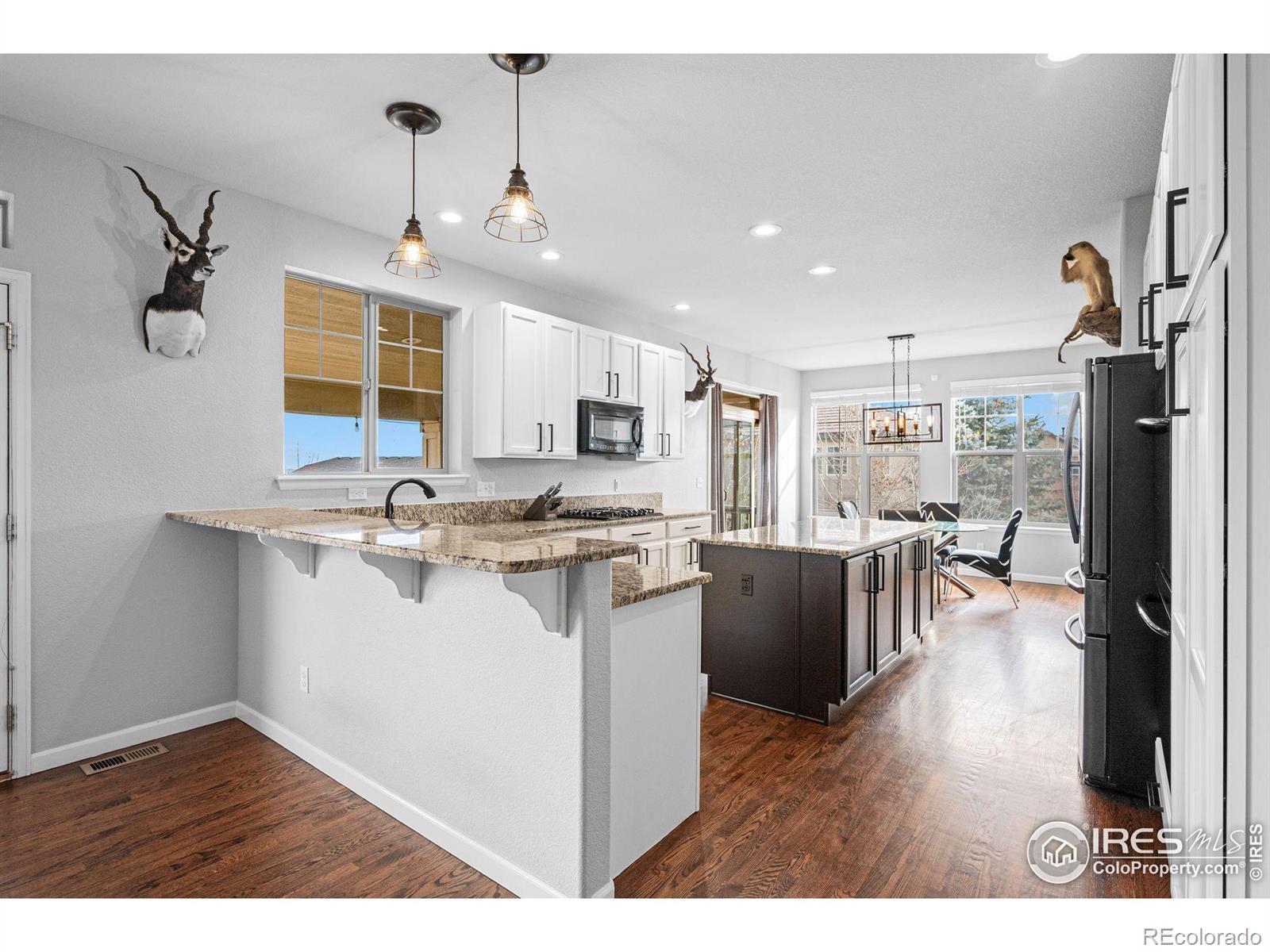 MLS Image #8 for 7690 s blackstone parkway,aurora, Colorado