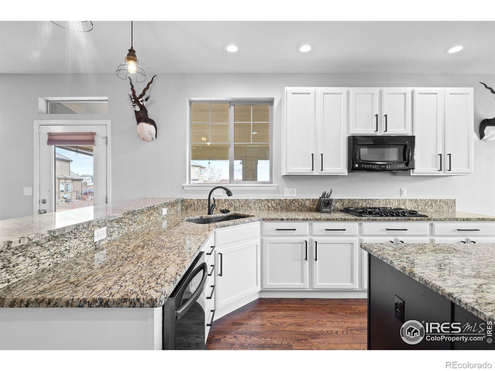 MLS Image #9 for 7690 s blackstone parkway,aurora, Colorado