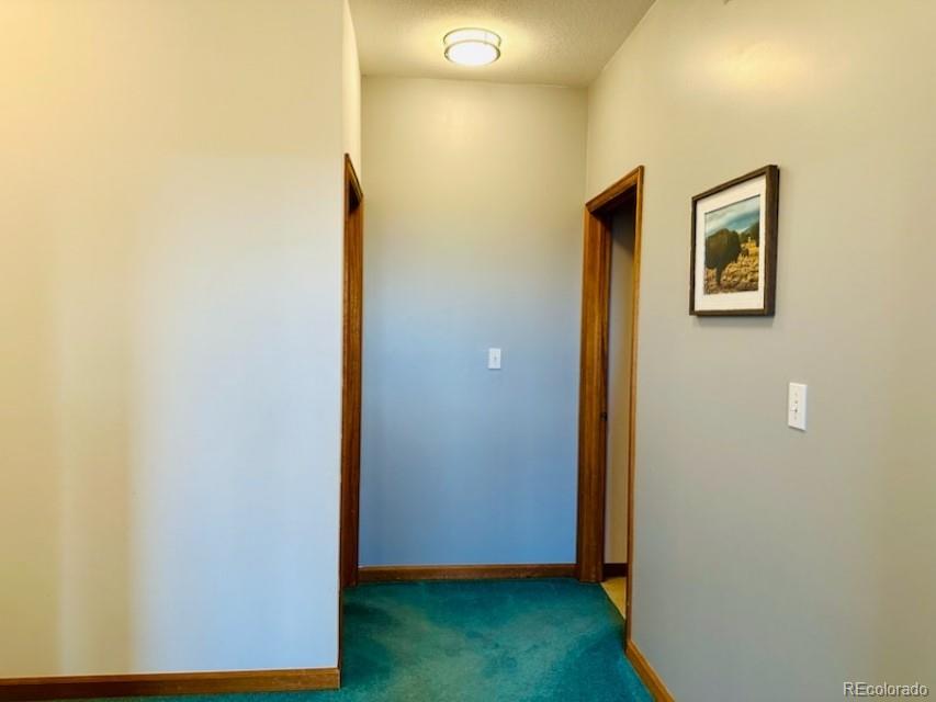 MLS Image #10 for 105  indian hill road,mosca, Colorado