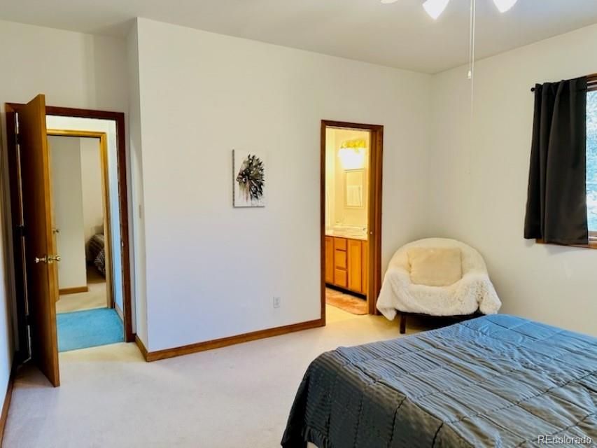 MLS Image #14 for 105  indian hill road,mosca, Colorado