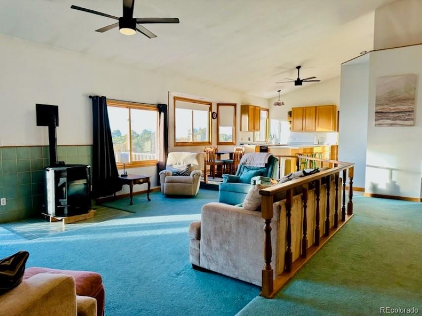 MLS Image #16 for 105  indian hill road,mosca, Colorado