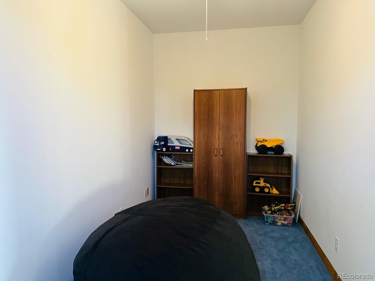 MLS Image #24 for 105  indian hill road,mosca, Colorado