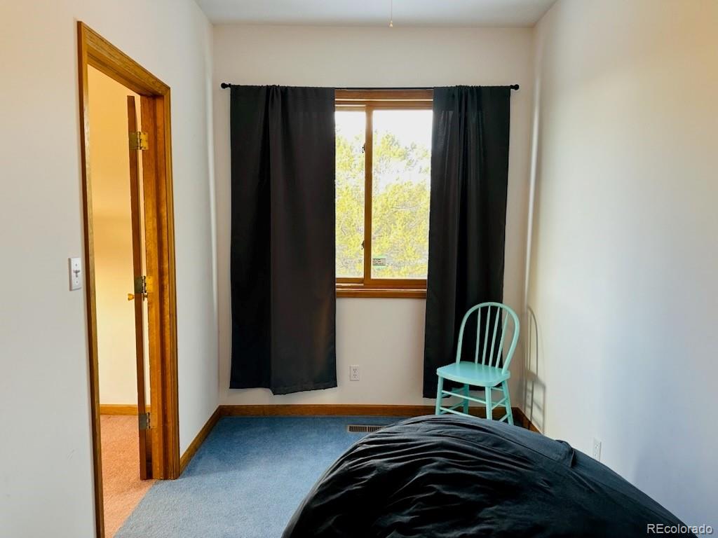 MLS Image #25 for 105  indian hill road,mosca, Colorado