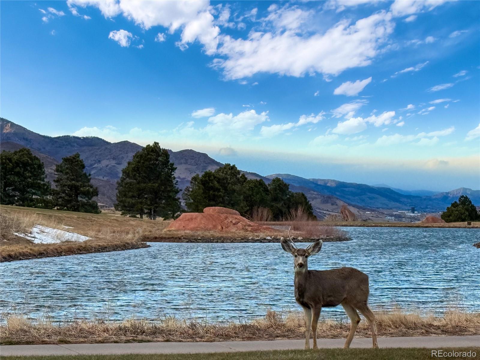 MLS Image #39 for 6823  surrey trail ,littleton, Colorado