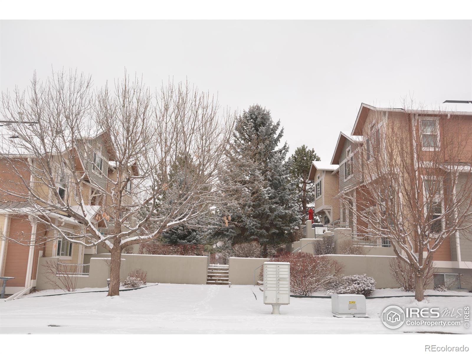 CMA Image for 4110  Riley Drive,Longmont, Colorado