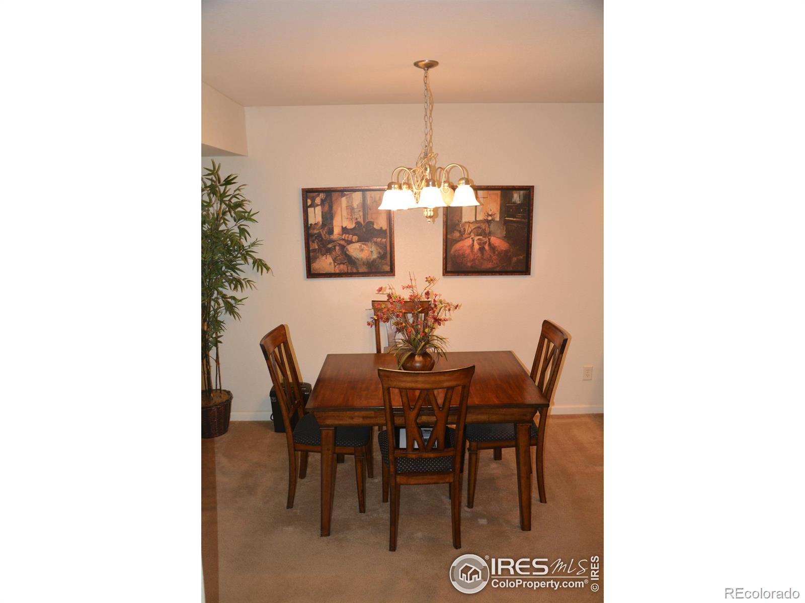 MLS Image #11 for 4110  riley drive,longmont, Colorado