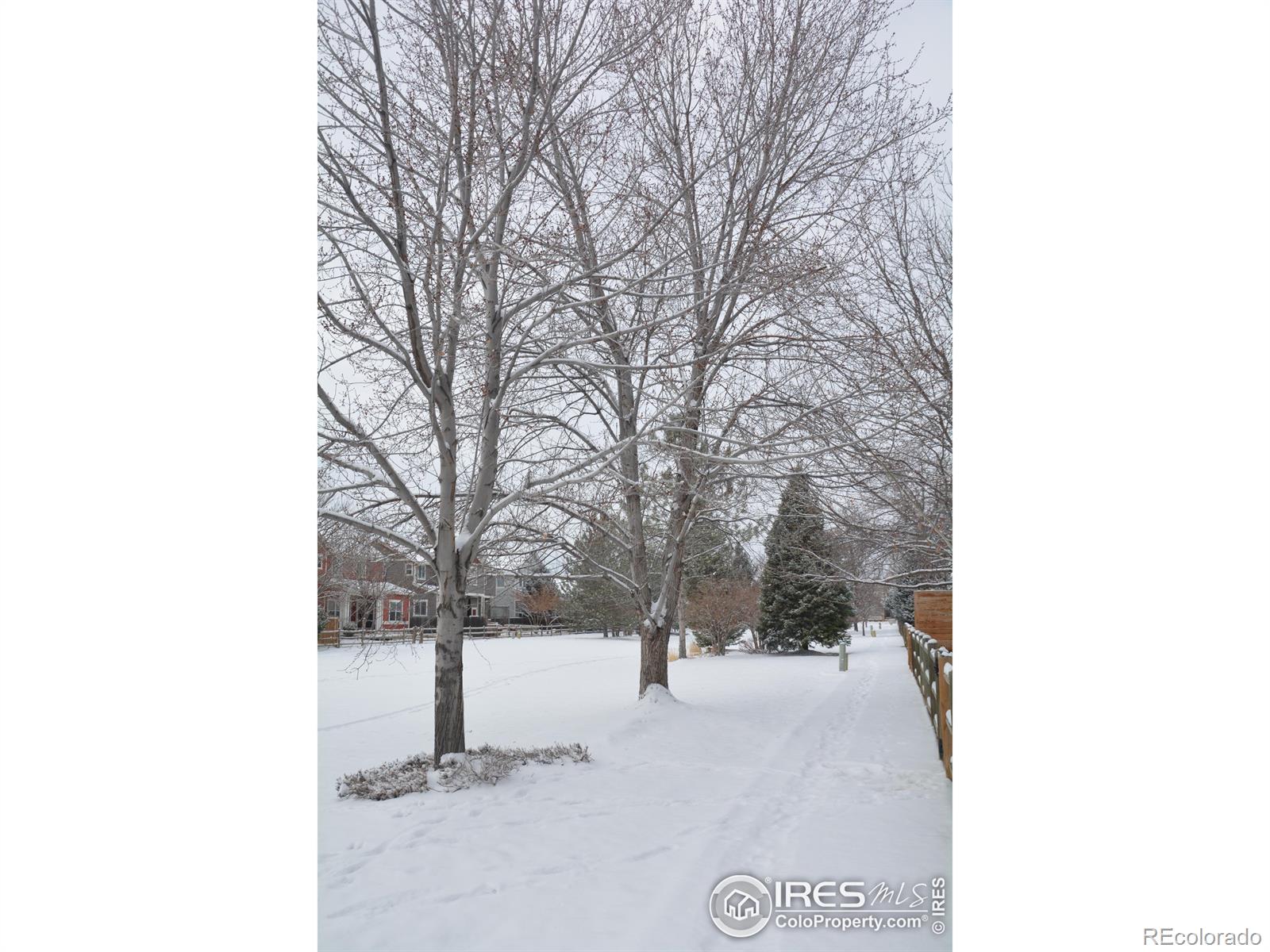 MLS Image #28 for 4110  riley drive,longmont, Colorado