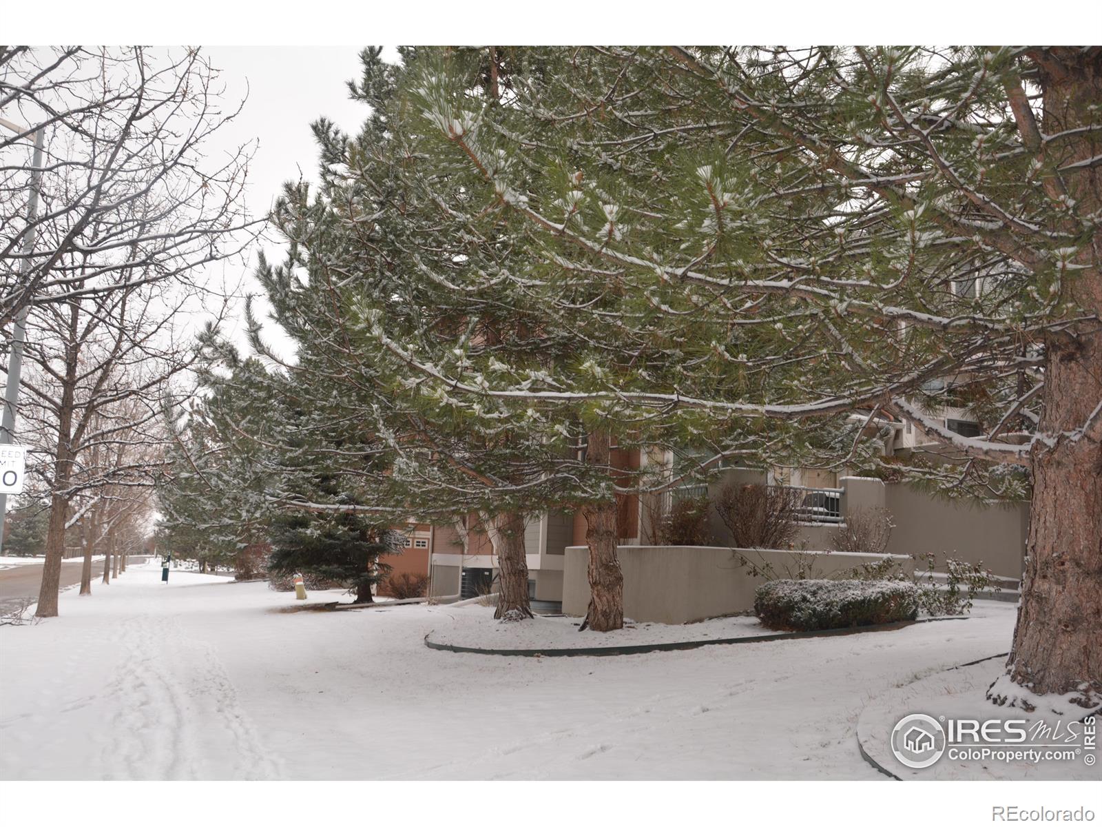 MLS Image #31 for 4110  riley drive,longmont, Colorado