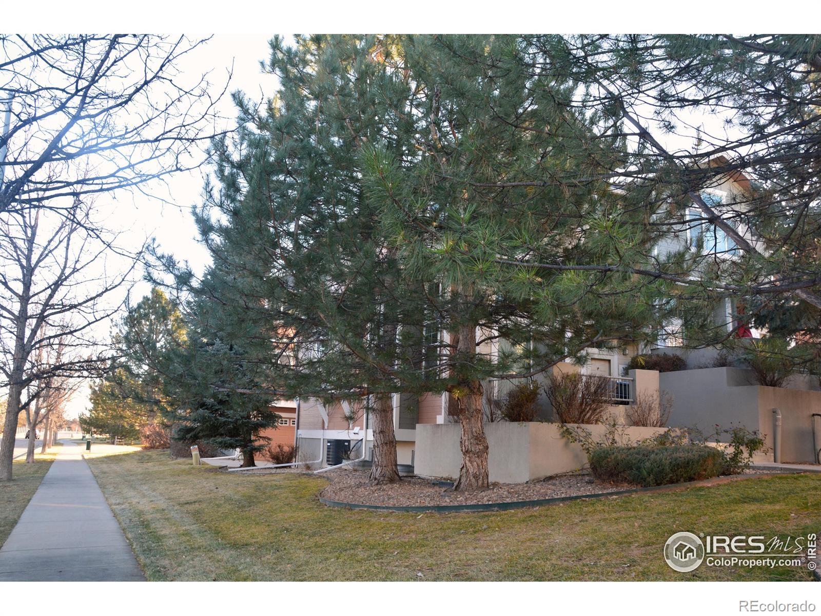 MLS Image #32 for 4110  riley drive,longmont, Colorado