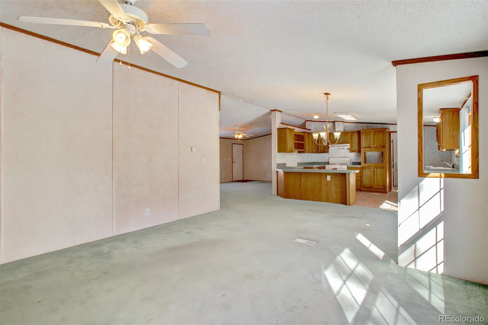 MLS Image #10 for 2610  pikes peak drive,florissant, Colorado