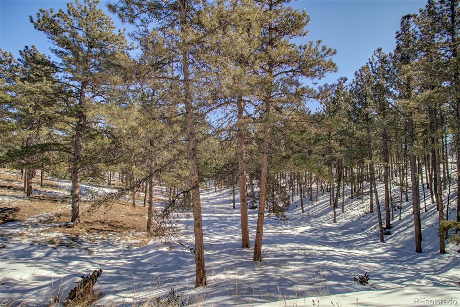 MLS Image #17 for 2610  pikes peak drive,florissant, Colorado