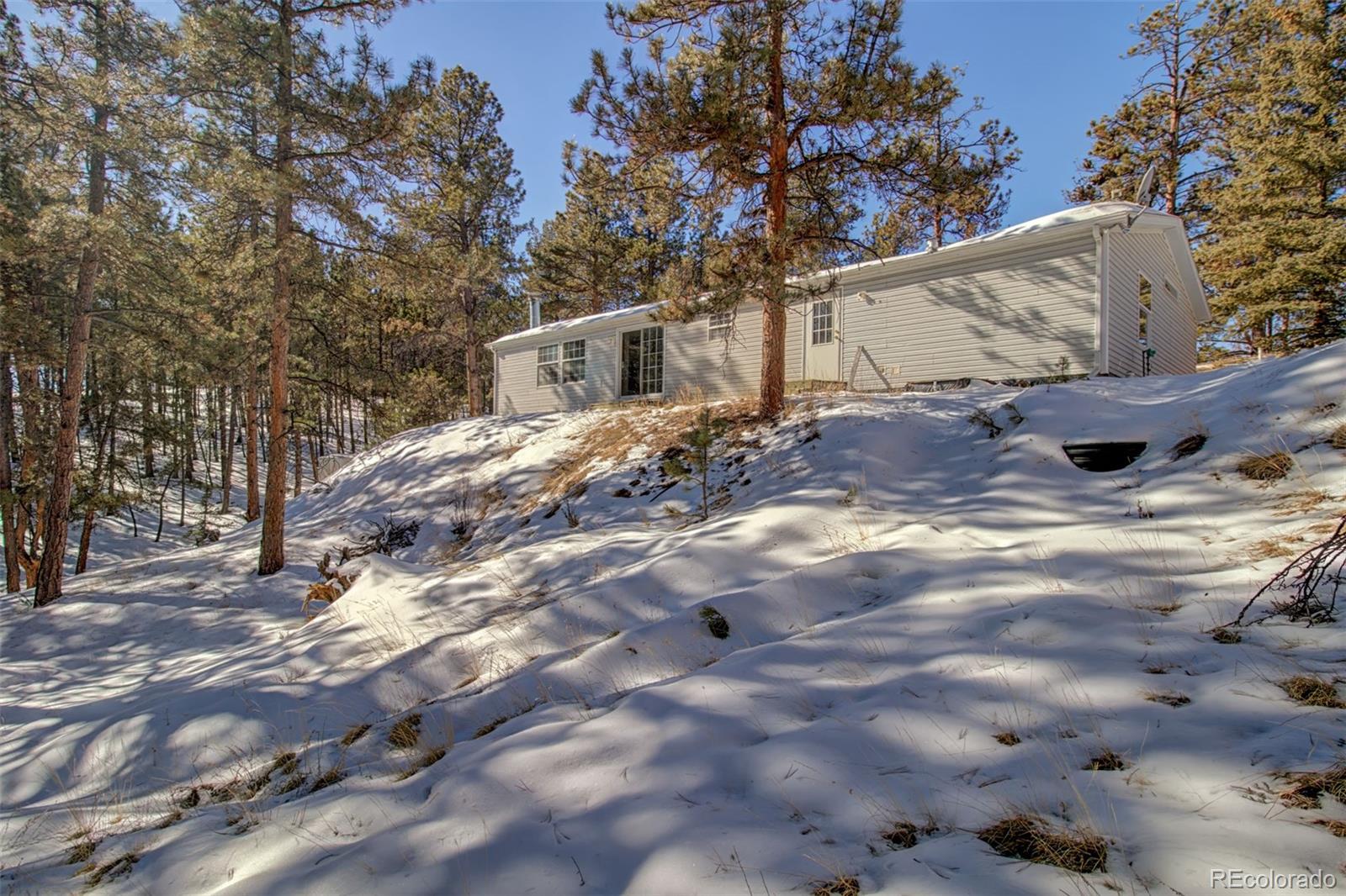 MLS Image #18 for 2610  pikes peak drive,florissant, Colorado