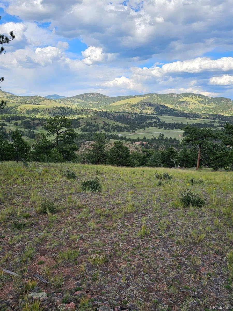 MLS Image #21 for 7275  co-9 ,guffey, Colorado