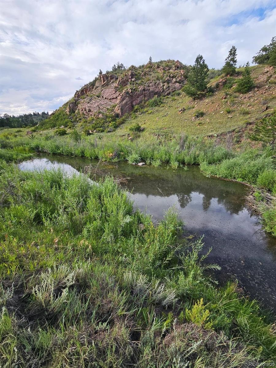 MLS Image #22 for 7275  co-9 ,guffey, Colorado