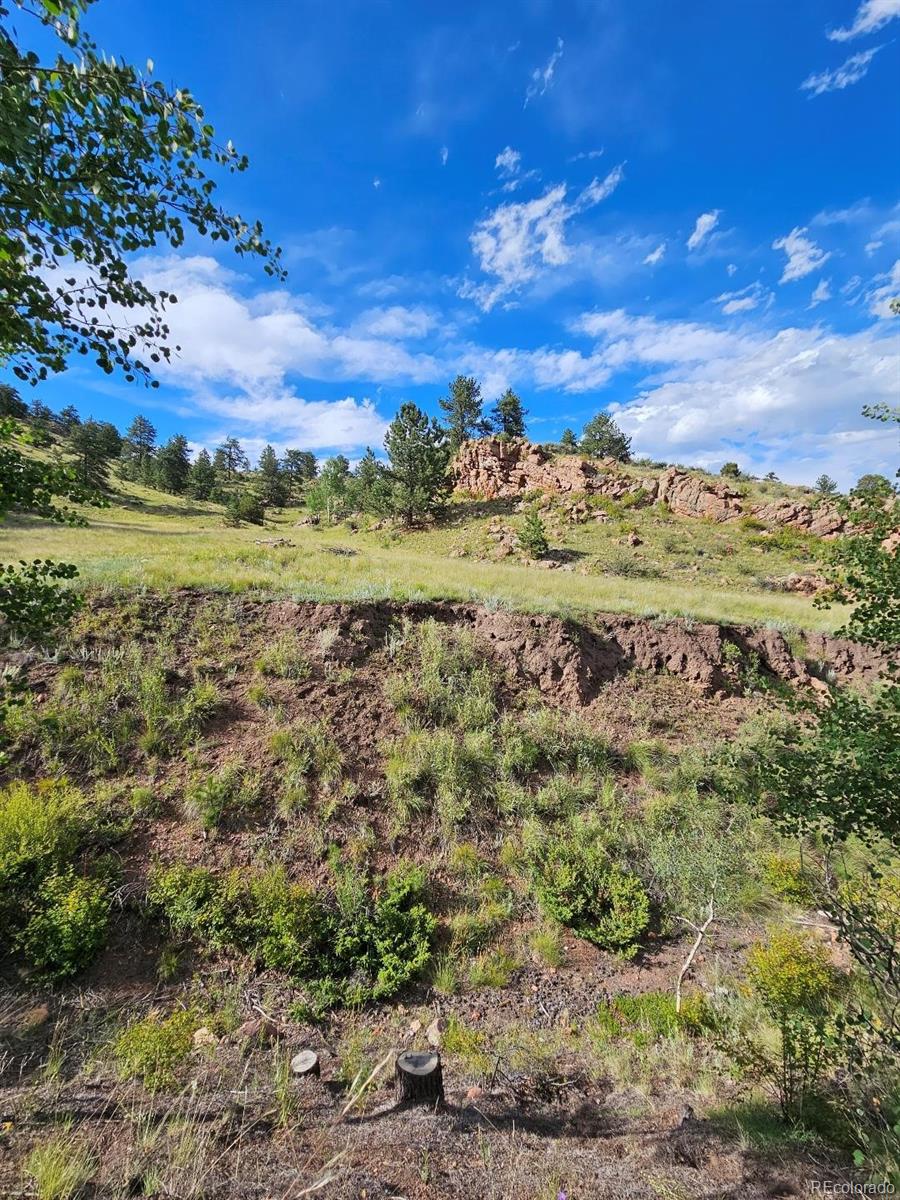 MLS Image #27 for 7275  co-9 ,guffey, Colorado