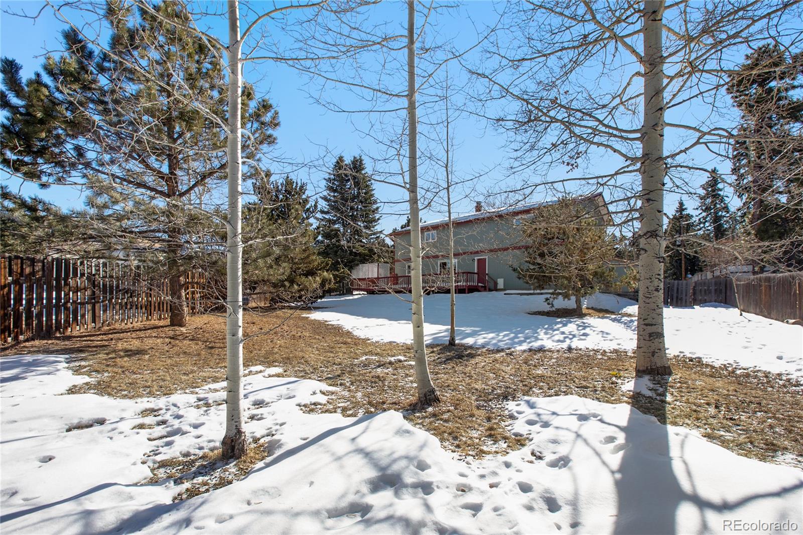 MLS Image #4 for 120  chulita senda ,woodland park, Colorado