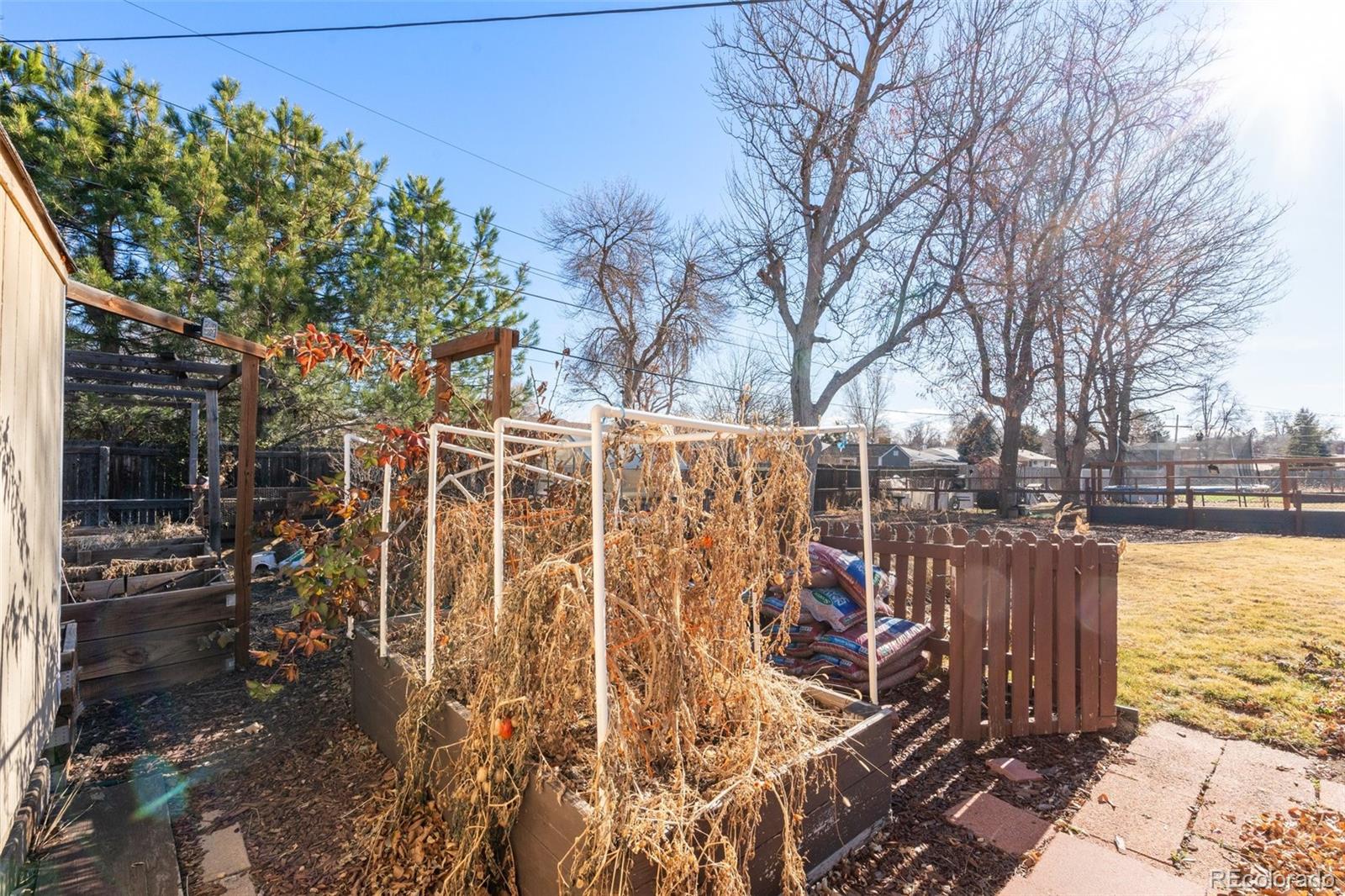 MLS Image #33 for 888  oak street,lakewood, Colorado