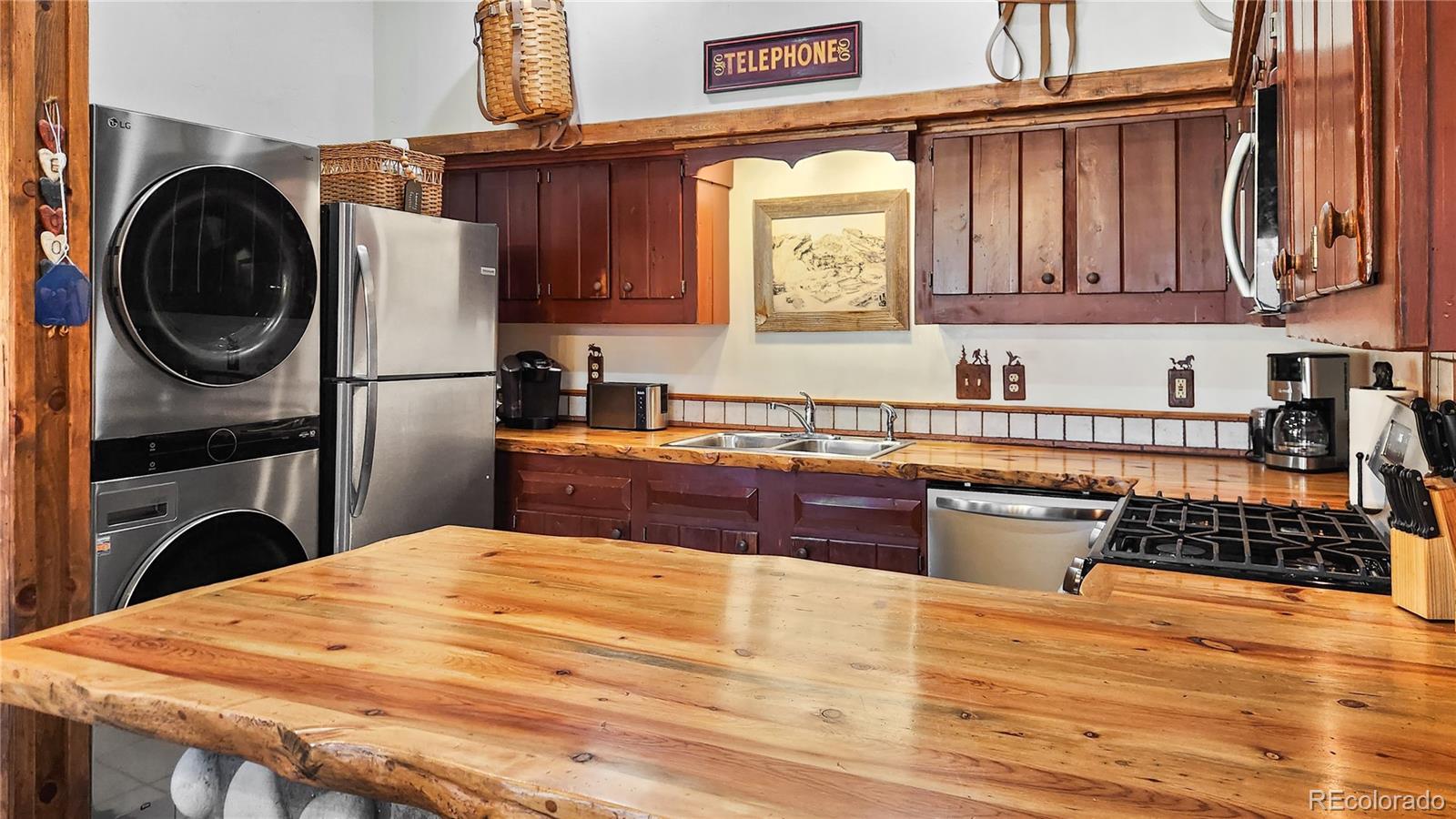 MLS Image #22 for 700  cottage grove road,alma, Colorado