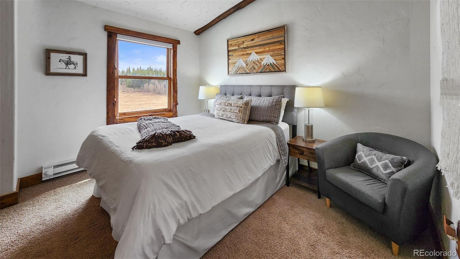 MLS Image #42 for 700  cottage grove road,alma, Colorado