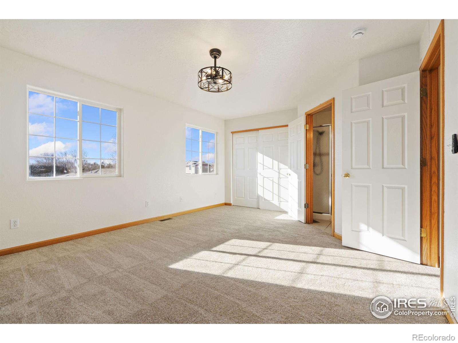 MLS Image #10 for 314  ash court,evans, Colorado