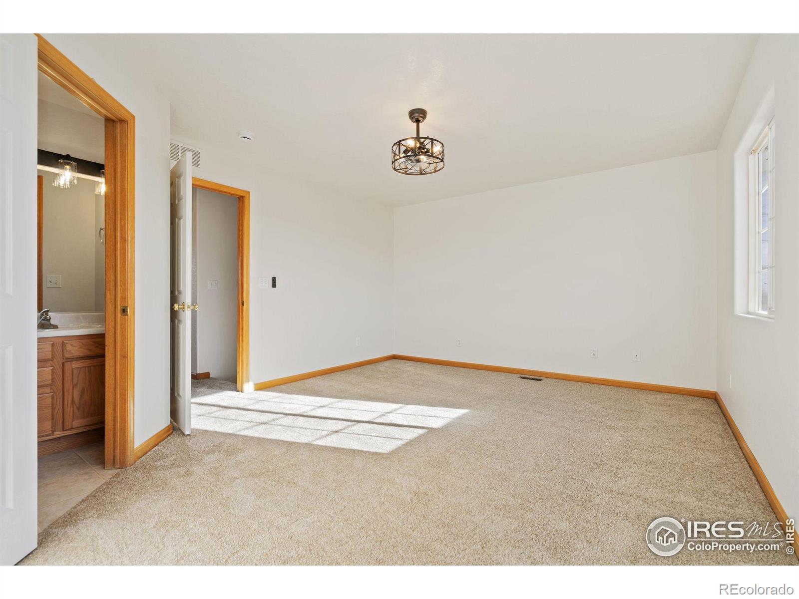 MLS Image #12 for 314  ash court,evans, Colorado