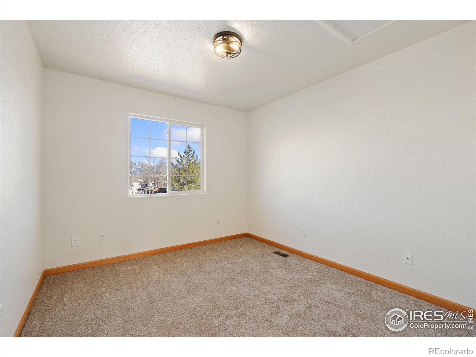 MLS Image #17 for 314  ash court,evans, Colorado