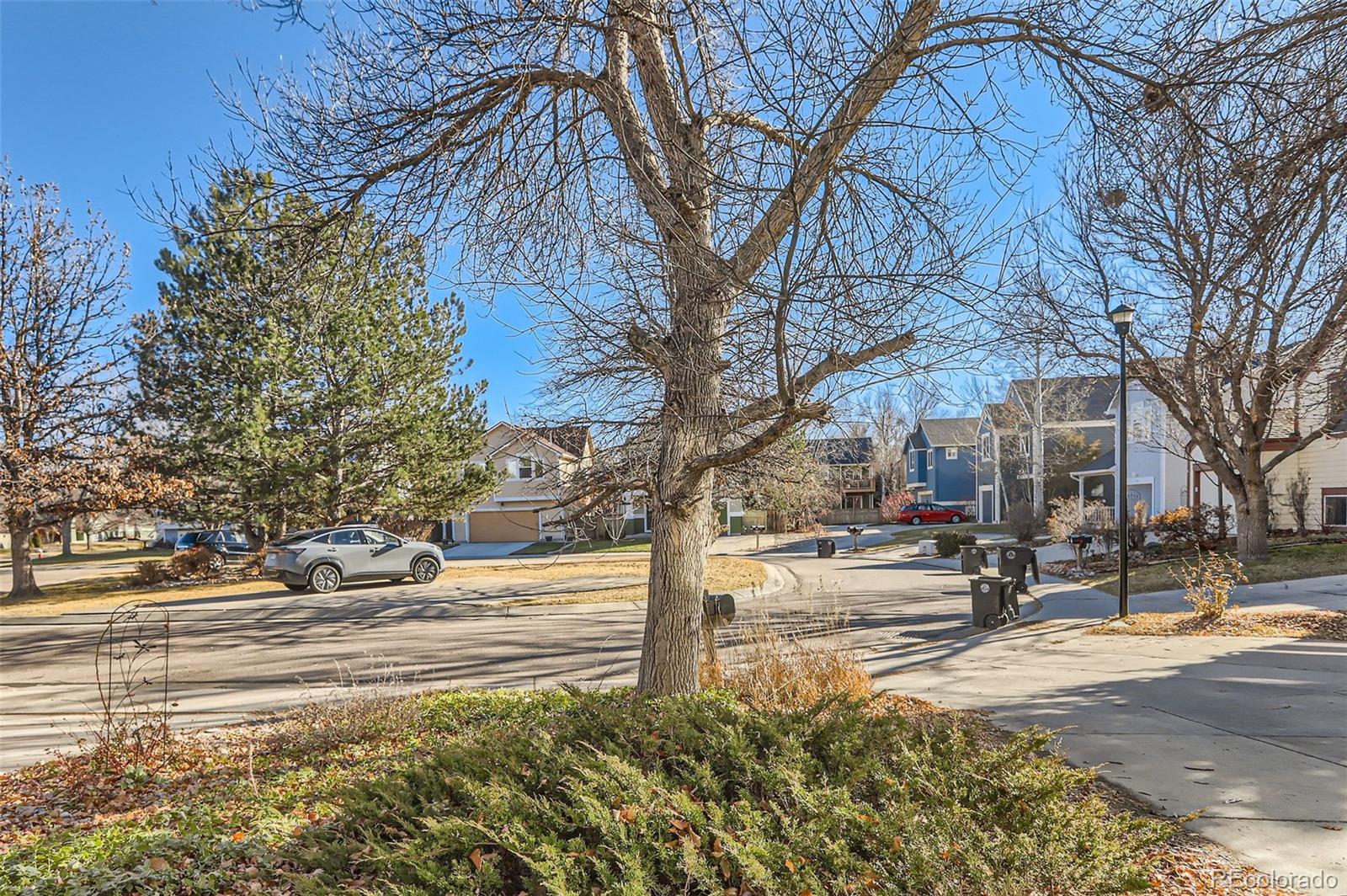 MLS Image #30 for 3906  oakwood drive,longmont, Colorado